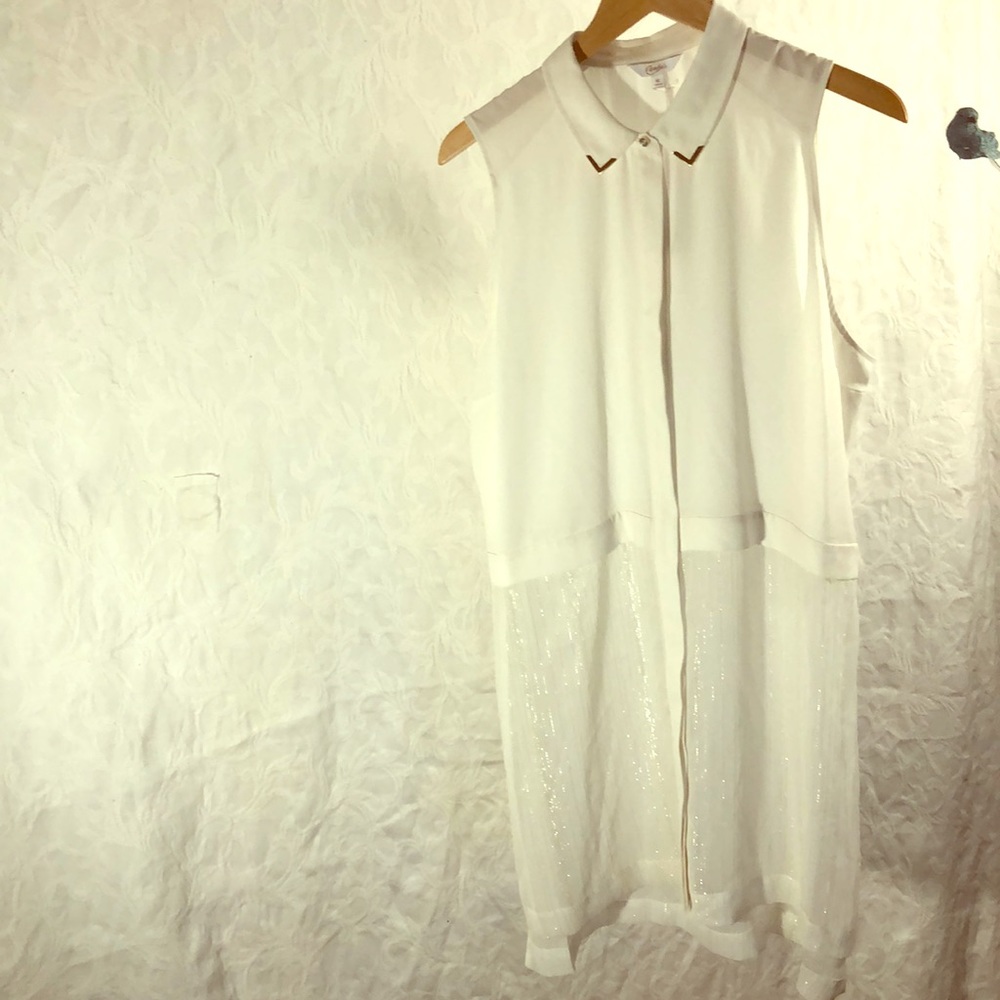 Elegant tunic shirt dress